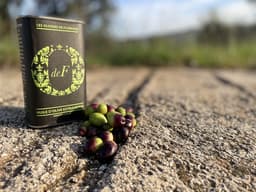 Huiles d’olives et produits fins de Toscane. Spécialisé dans l’aromatisation des huiles d’olive. Producteur belge, wallon, liégeois d’huile d’olive en Toscane. Élue « meilleure huile d’olive du monde » *